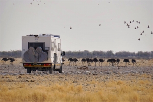 Guidare in Namibia, i nostri consigli