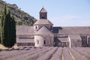 Da Marsiglia alla Provenza