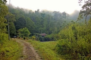 Dalla natura del Borneo ai grattacieli di Hong Kong