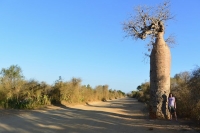 Madagascar da nord a sud in tre settimane