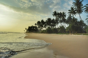 10 giorni in Sri Lanka