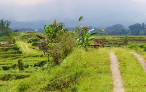 Itinerario e costi del nostro viaggio in Indonesia