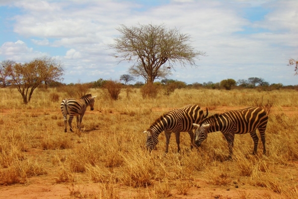 Kenya, la nostra prima volta in Africa