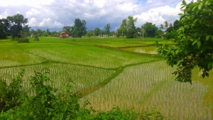 Il  Laos e i nostri 8 giorni sospesi nel tempo